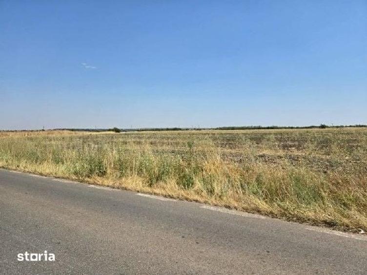 Teren de 4300 mp, în Smârdioasa