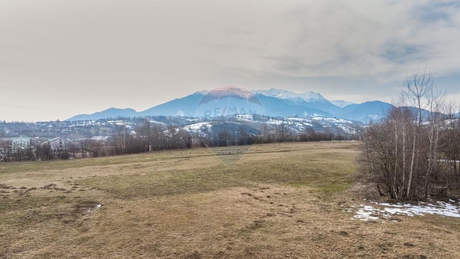 Teren Construcții intravilan de 4500 mp, în Tohanu Nou