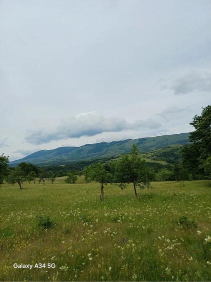 Teren de 60000 mp, în Cornea