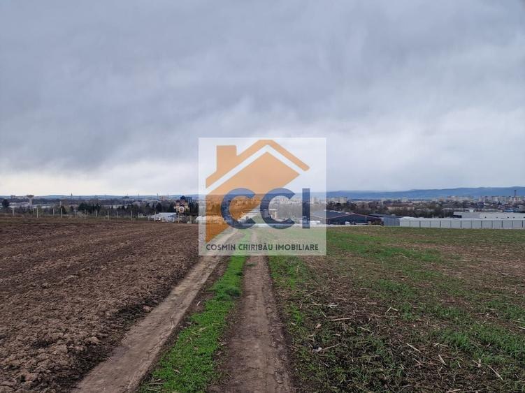 Teren agricol intravilan de 10000 mp, în Vest