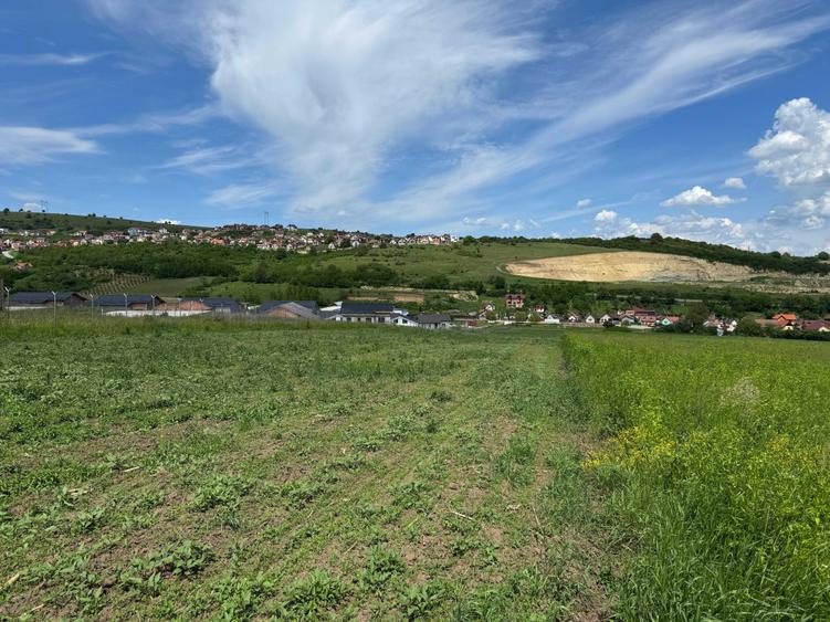 De vanzare - Doua parcele de teren intravilan Sura Mare - 3