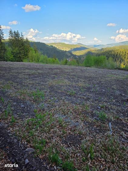 Teren de 6000 mp, în Arieșeni