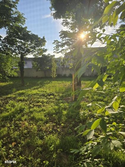 Apartament cu 3 camere în Favorit