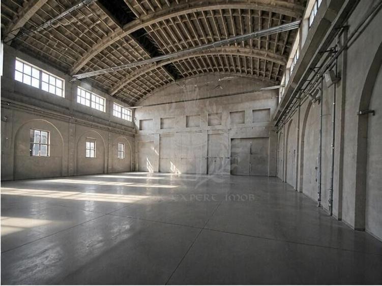Spațiu industrial, de 3,600 mp, în Bereasca