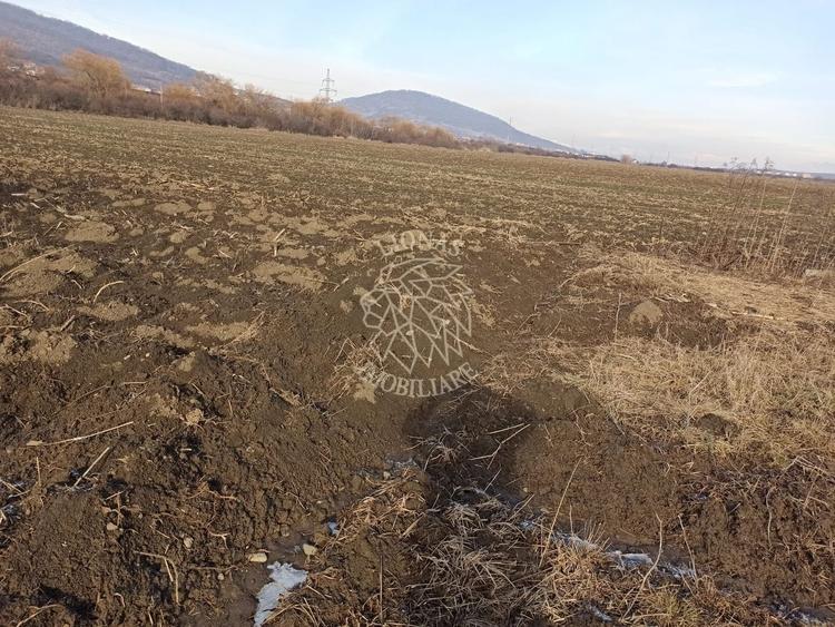 Teren Construcții intravilan de 1800 mp, în Sărata
