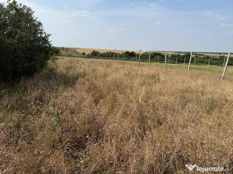 Teren intravilan Miersig, vedere la lac. 12,5 E/mp neg. C... - 8