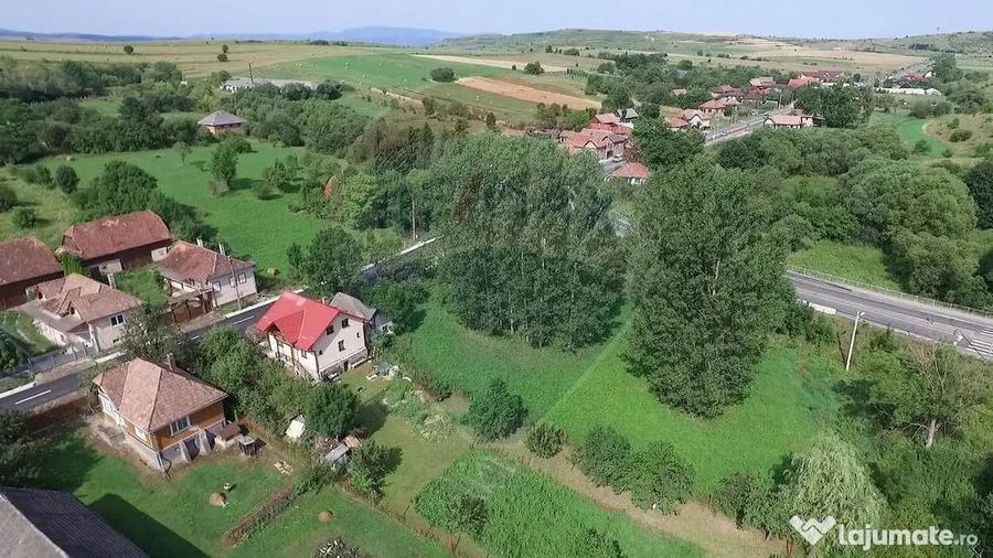 Teren 2,740mp Paniceni / Strada Principala - 5