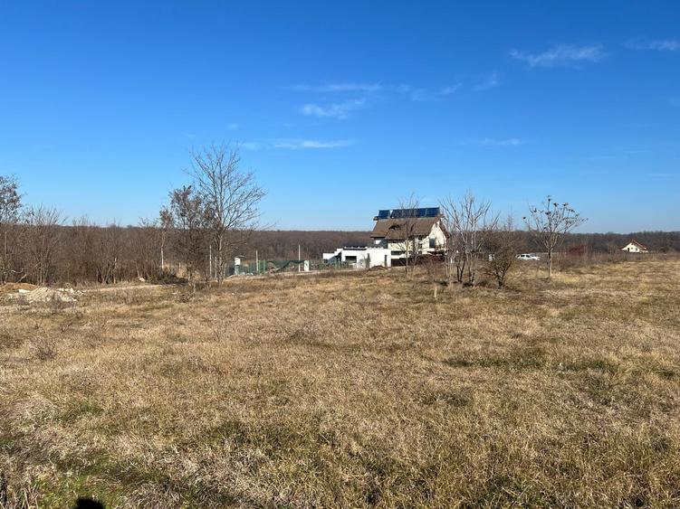 Teren Construcții intravilan de 1000 mp, în Grădiștea