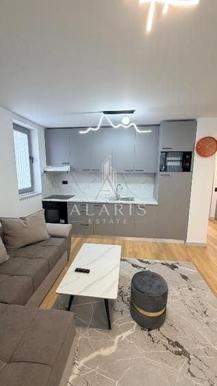 Apartament cu 2 camere decomandat, mobilat în Torontalului