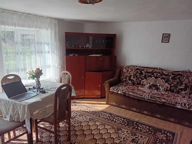 Casa de vanzare cu curte,gradina 2500mp - 1