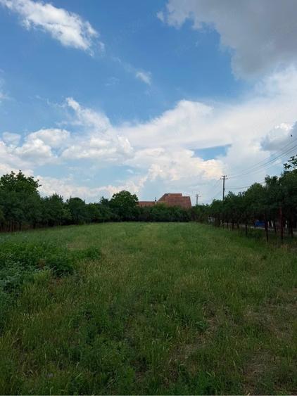 Teren de 2595 mp, în Pișchia