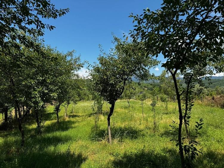 Teren de 935 mp, în Sălătrucel