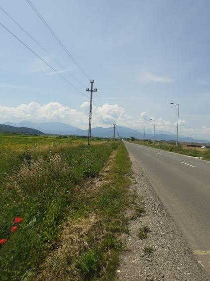 Teren Construcții intravilan de 1266 mp, în Bod