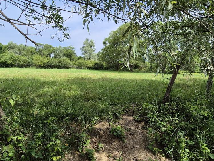 Teren agricol extravilan de 3411 mp, în Șinca Nouă