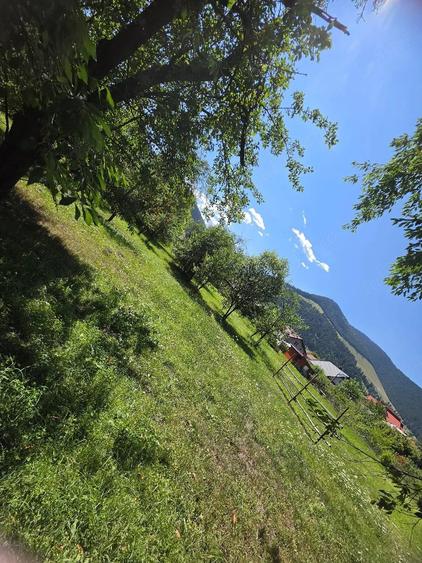 Casă cu 5 camere cu Teren 2800 Mp în Central