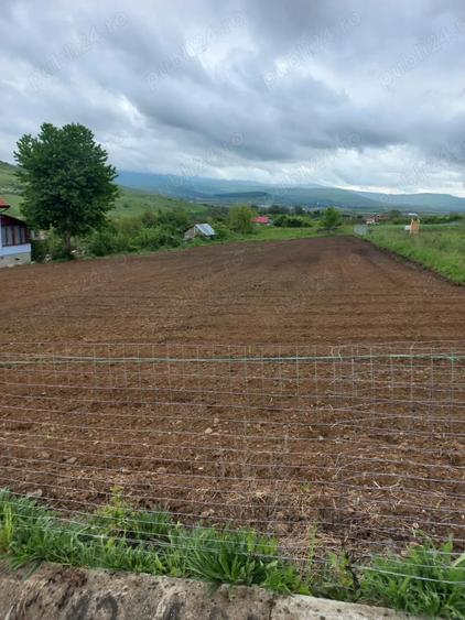 Teren de 1000 mp, în Nord-Vest