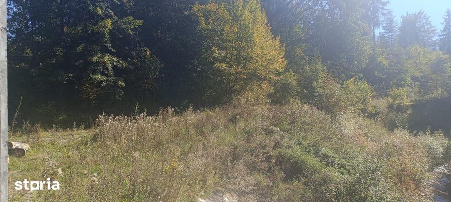 Teren de 5000 mp, în Ceahlău