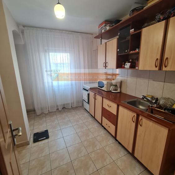 Apartament cu 2 camere semidecomandat în Găvana 3