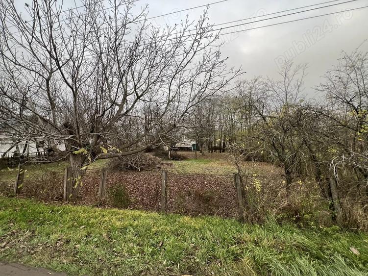 Teren de 1270 mp, în Sărata