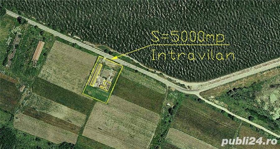Teren de 5000 mp, în Batoți