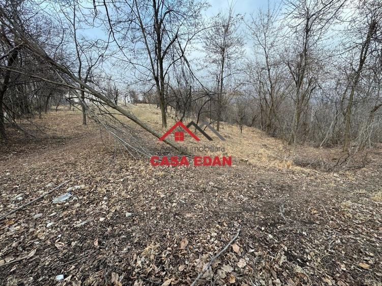 Casă cu Teren 3074 Mp în Cornu