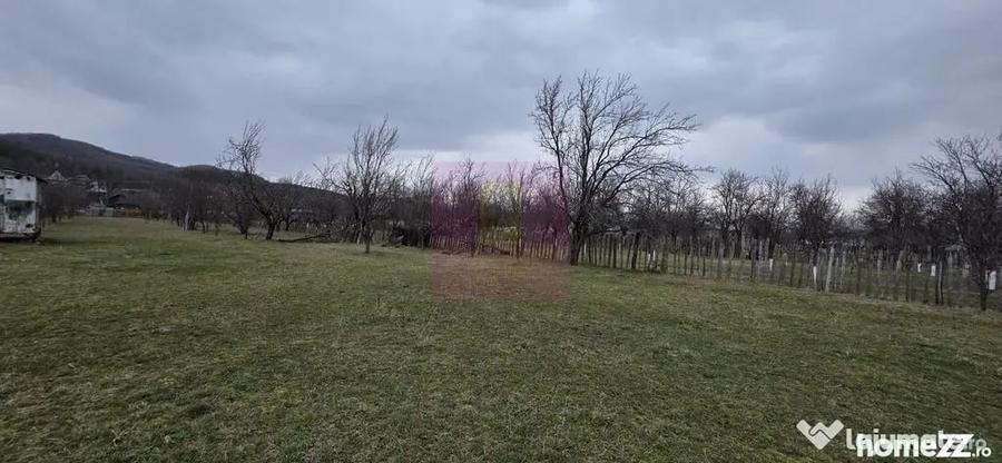Teren 734 mp intravilan de vanzare in Brebu - 4