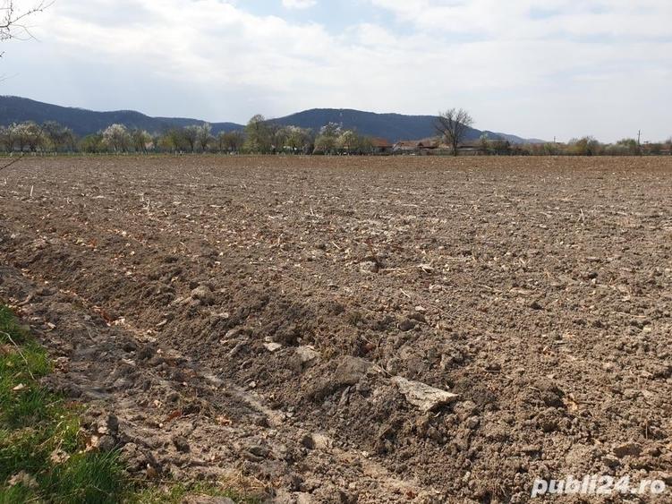 Teren de 5000 mp, în Bretea Mureșană