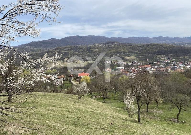 Teren Construcții intravilan de 21000 mp, în Corbi