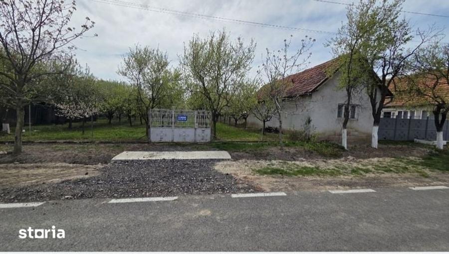 Vand loc de casa cu livada intravilan - 7