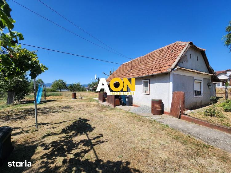 De vanzare teren 10.651mp intravilan, parcelabil, Oarda de Sus - 1