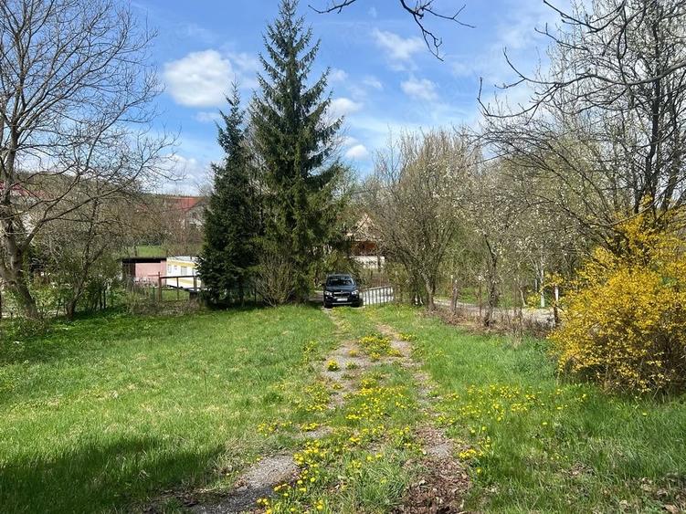 Teren de 1100 mp, în Sălicea