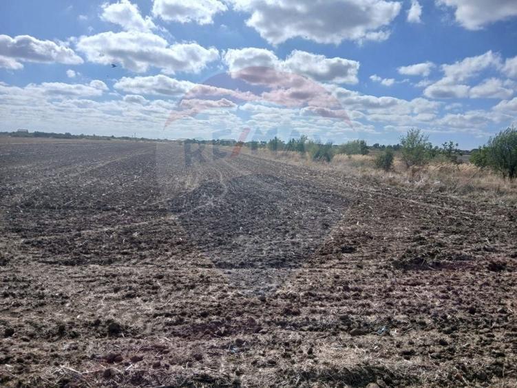 Teren Construcții intravilan de 4500 mp, în Dârvari