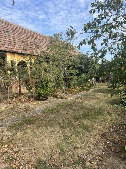 Casă cu 3 camere în Călacea