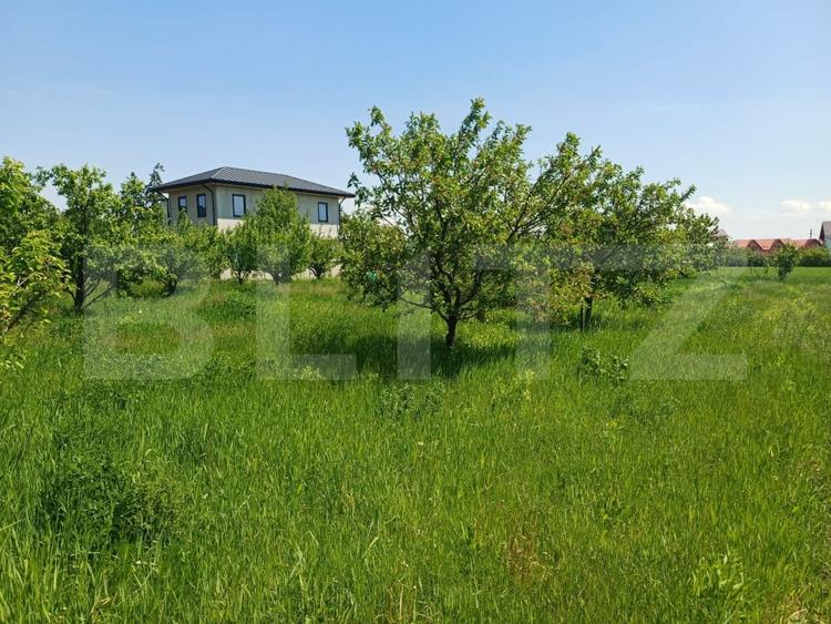 Teren de vanzare intravilan, 72 ari, zona Salcea - 7