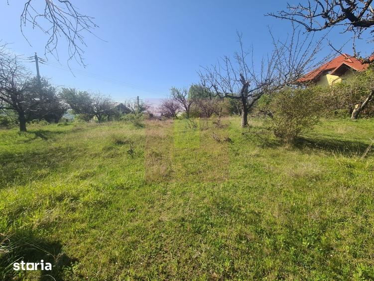 Teren de 1300 mp, în Voila