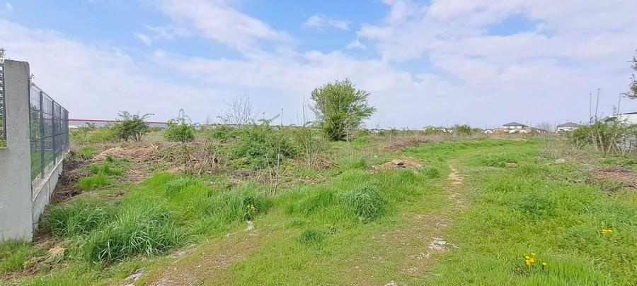 Teren Construcții intravilan de 2500 mp, în Dragomirești-Deal