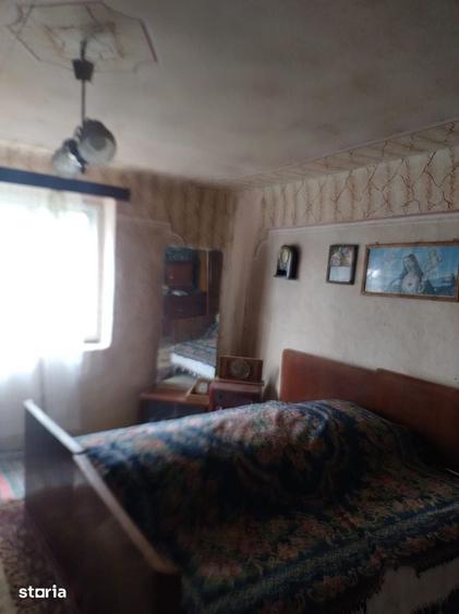 Casa de vanzare in Cenad aproape de ie?irea spre Ungaria- 739 - 6