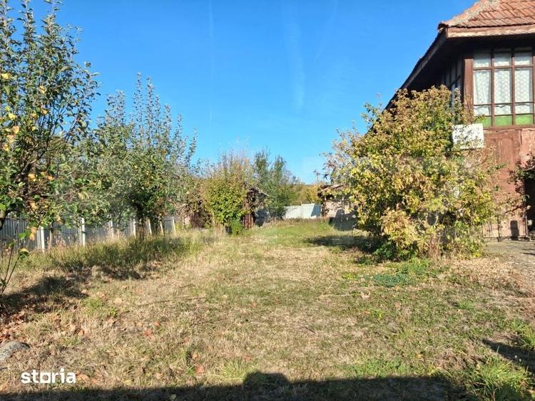 Casă cu 3 camere decomandat cu Teren 3800 Mp în Alimpești