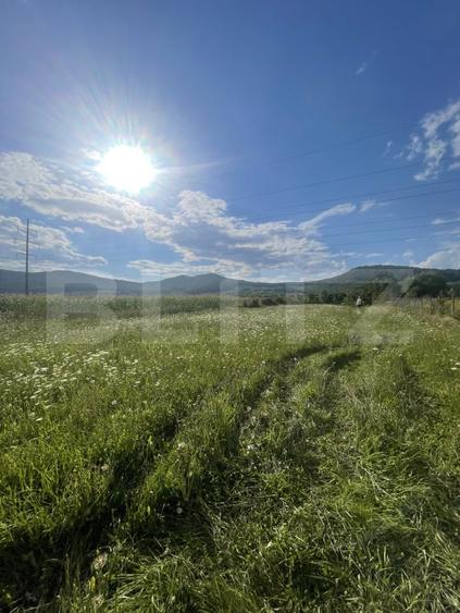 Teren Construcții intravilan de 1000 mp, în Viișoara