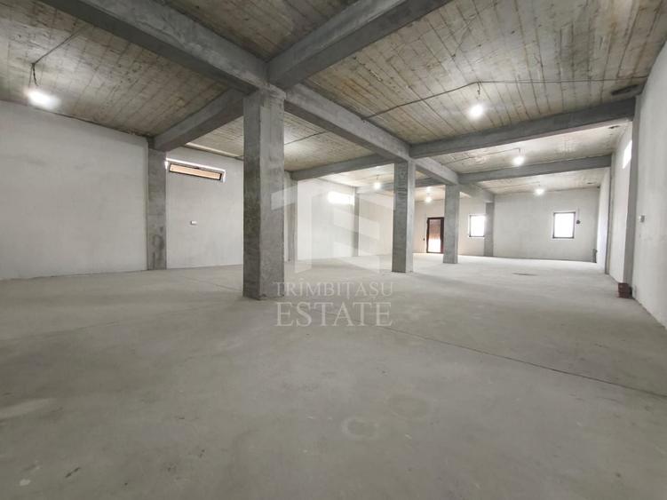 Casă cu 10 camere cu Canalizare în Lumina