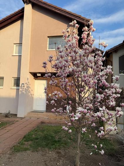 Casă cu 4 camere în Vladimirescu
