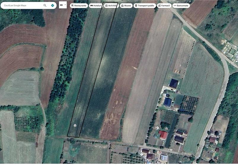 Teren de 5000 mp, în Proselnici