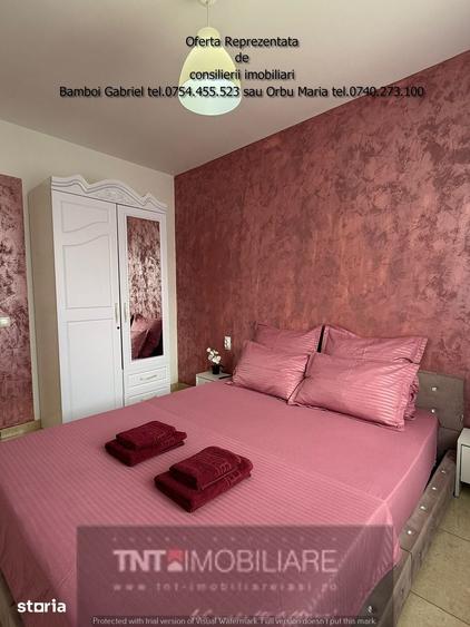 Apartament cu 2 camere în Podu Roș