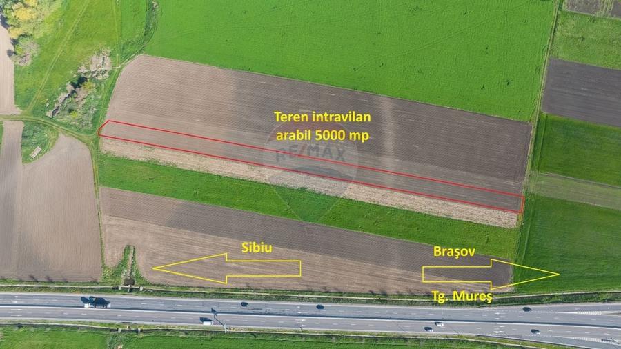 Teren agricol intravilan de 5000 mp, în Stupini