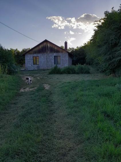 Casă cu 2 camere în Valea