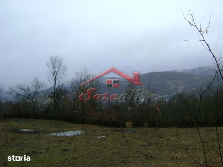 Teren de vanzare in Provita de jos - 11