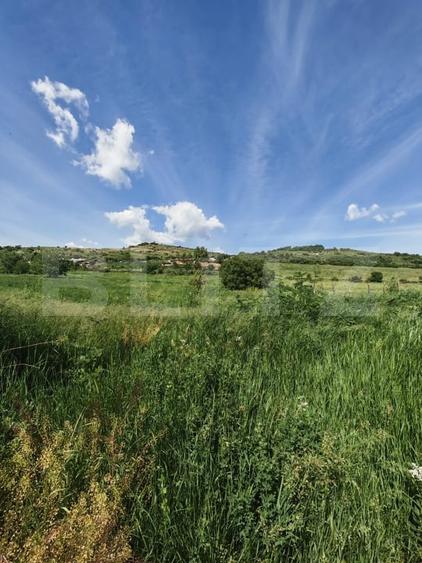 Teren agricol intravilan de 4800 mp, în Nord