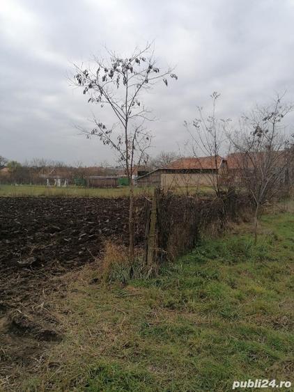 Teren de 1460 mp, în Satchinez