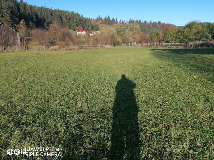 Teren de 3200 mp, în Sadova