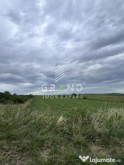 Teren intravilan 5.700 mp | Copaceni, Cluj | DN1 | - 2
